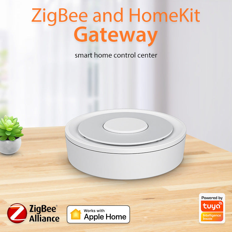 Mini Dual-Mode Home Control Hub