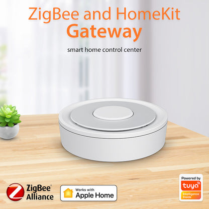 Mini Dual-Mode Home Control Hub